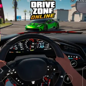 Driver Zone Online IOS